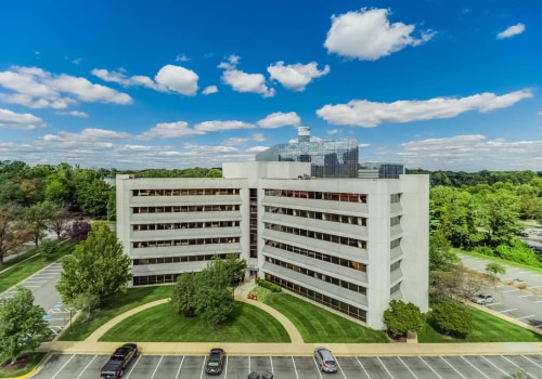 The Insider's Guide to Wellness Programs in McLean, Virginia